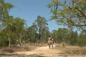 Femme qui baise avec les animaux